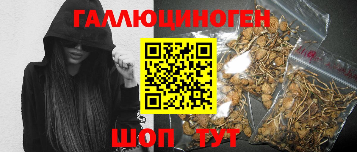 Псилоцибиновые грибы прущие грибы  Вход с VPN  Звенигород 