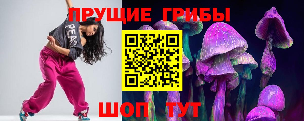 Псилоцибиновые грибы мицелий Звенигород